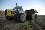 089_Palouse_FL_0810.jpg