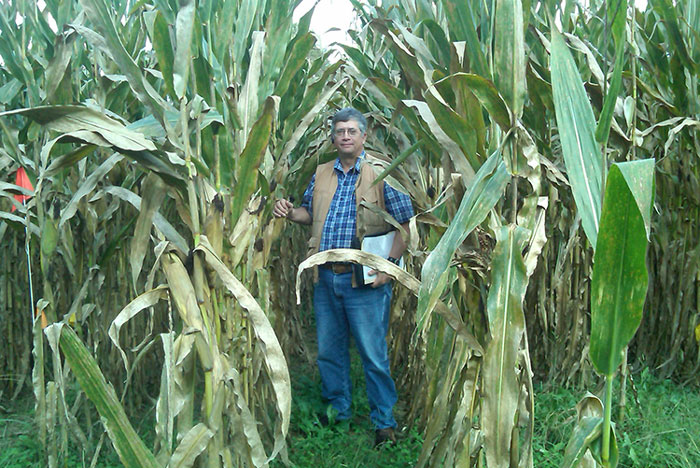 grove_nt_corn_nitrogen_source_trial_photo_by_greg_schwab.jpg