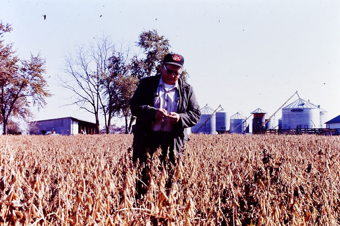 Harry-Young-looks-at-pods-in-a-soybean-field.jpg