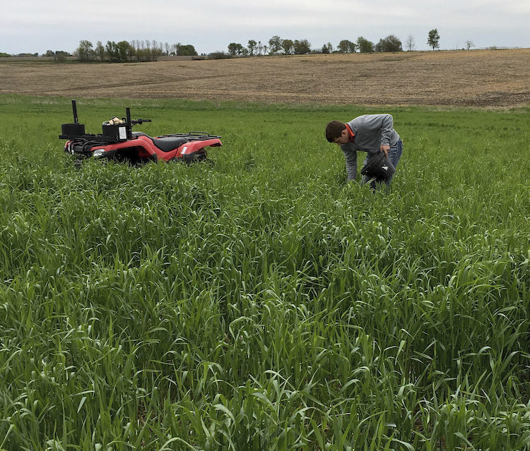 Hora soil testing